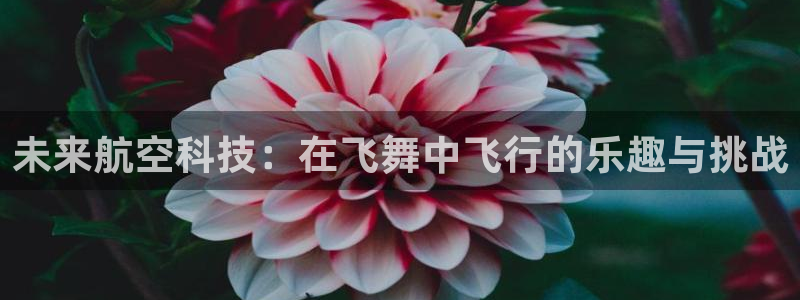 喜乐在线4平台