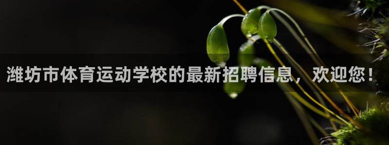 喜乐在线集团总部：潍坊市体育运动学校的最新招聘信息，欢迎您！