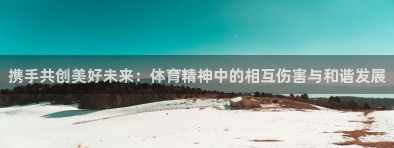 意昂平台：携手共创美好未来：体育精神中的相互伤害与和谐发展